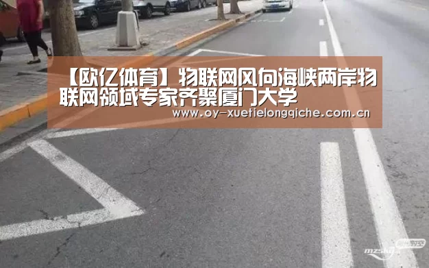 【欧亿体育】物联网风向海峡两岸物联网领域专家齐聚厦门大学