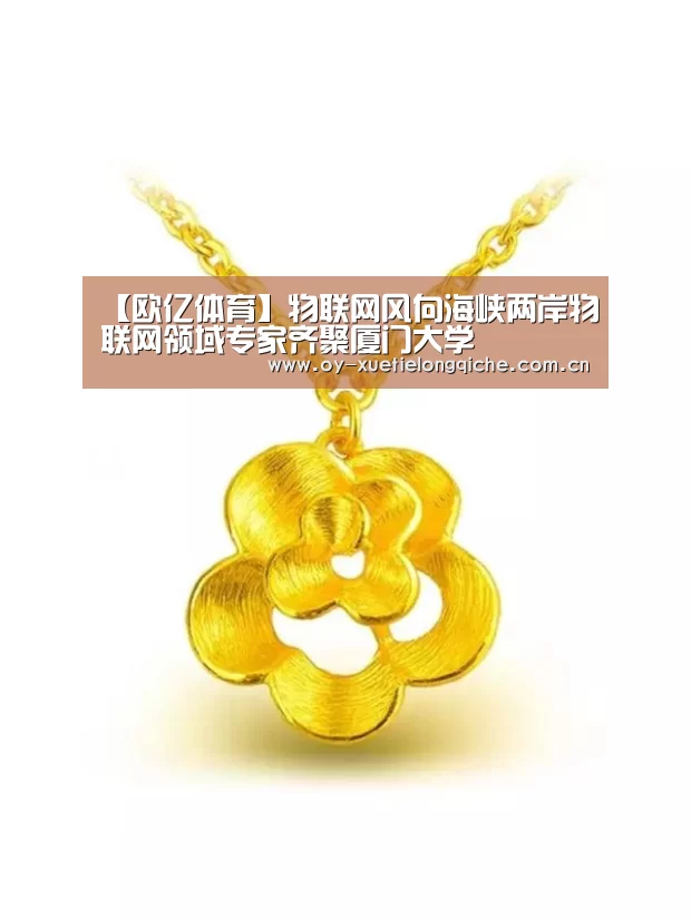 【欧亿体育】物联网风向海峡两岸物联网领域专家齐聚厦门大学(图4) 欧亿体育