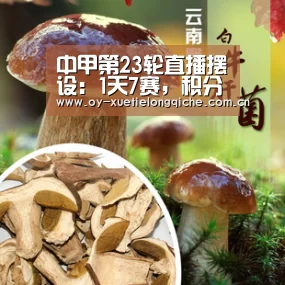 欧亿体育公司